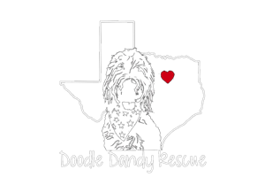 Doodle Dandy Rescue home